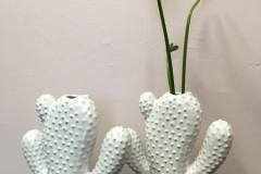 vase cactus