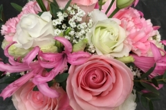Roses nerine
