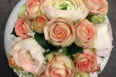 Renoncules - minis roses
